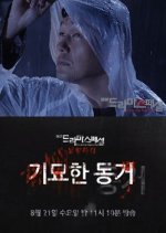 Drama Special Season 4: The Strange Cohabitation Korean Drama photo