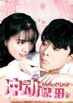 Couple Of Love Chinese Movie photo