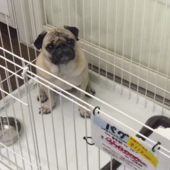 Mada Kekkon Dekinai Otoko Japanese Drama photo