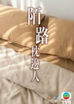 In Bed with a Stranger Hong Kong Drama photo