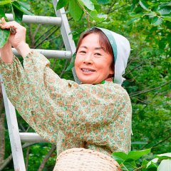 Jinsei, Irodori Japanese Movie photo