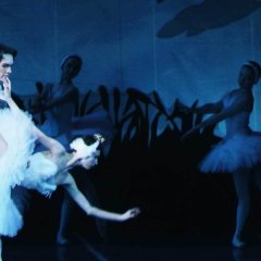 Rosa Korean Movie(2014) photo