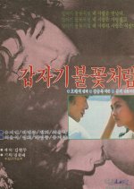 Sudden Flame Korean Movie photo