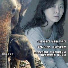 Ceylon, Serendipity Korean Movie photo