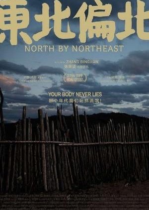 North by Northeast (2014) poster