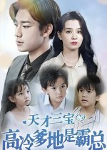 Tian Cai San Bao, Gao Leng Die Di Shi Ba Zong Chinese Drama photo