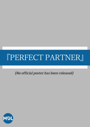 Perfect Partner (2003) poster