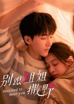 Destined to Meet You Chinese Drama photo