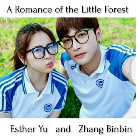 A Romance of the Little Forest (2022)