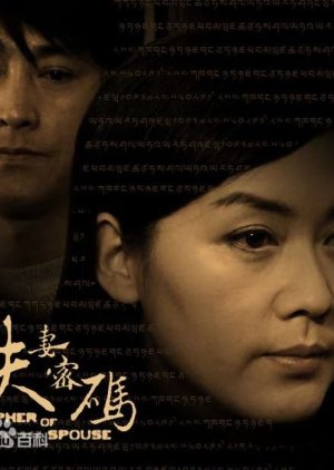Cipher of Spouse (2010) poster