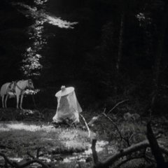 Rashomon Japanese Movie photo