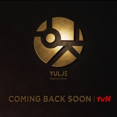 Resident Playbook (2024) photo