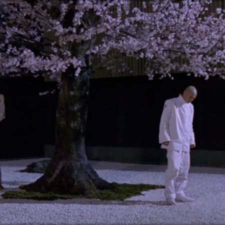 Madness in Bloom (2002)