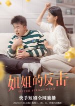 Sister Strikes Back Chinese Drama photo