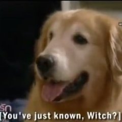 Dok Ruk Rim Tang Thai Drama photo