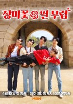 When the Roses Bloom