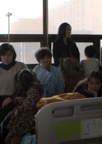 Birds Fly Back to the Nest Korean Movie photo