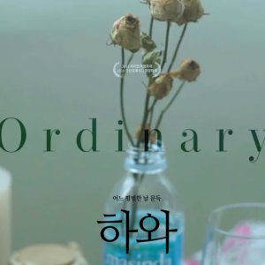 The Ordinary Day (2017)