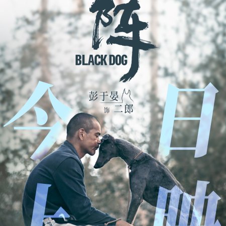 Black Dog (2024)