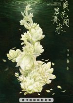 The Way You Come Back Chinese Drama photo