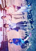 Pisko the Crab Child is in Love