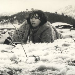 The Road to Sampo Korean Movie photo