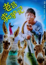 Lao Lv Mai Lv Ji Chinese Movie photo
