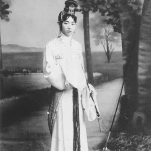 Dai Yu Zang Hua ()