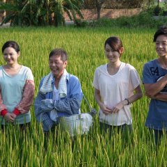 Life Story: Xia Feng Taiwanese Drama photo