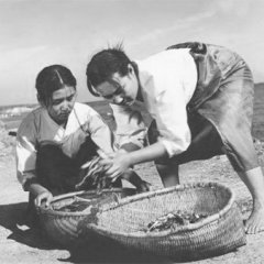 The Seashore Village Korean Movie photo