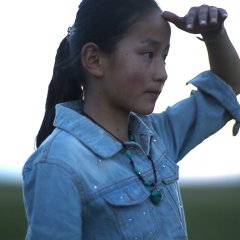 The Fascinating Dream in the Grassland Chinese Movie photo