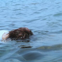 Dance on My Grave Chinese Movie photo