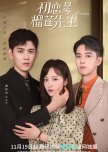 Mr. Durian chinese drama review