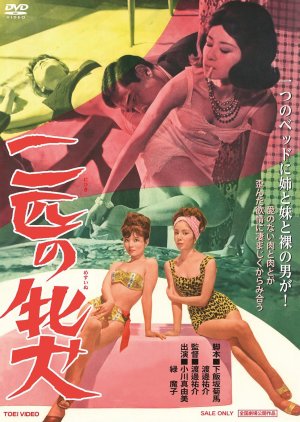 Nibiki no Me Inu (1964) poster