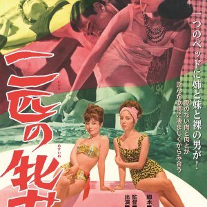 Nibiki no Me Inu (1964)