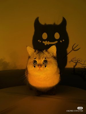 UnaliveRacoon