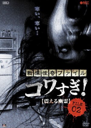 Senritsu Kaiki File Kowasugi File 02: Shivering Ghost (2012) poster