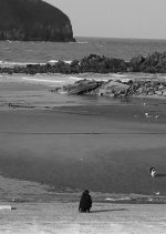 Begging Island: Let It Be Korean Movie photo