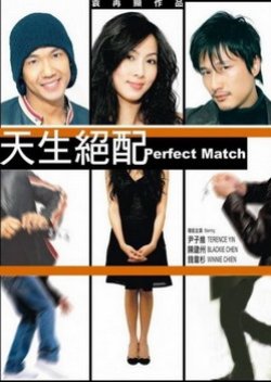 Perfect Match (2009) poster