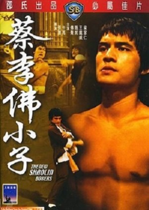 New Shaolin Boxers (1976) poster