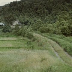 Mushishi (2007) photo