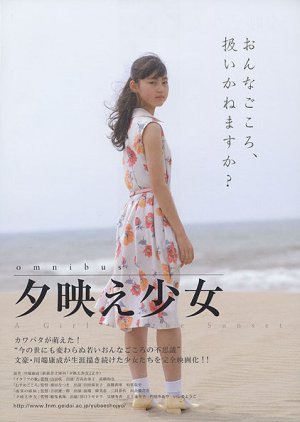 A Girl in the Sunset (2008) poster