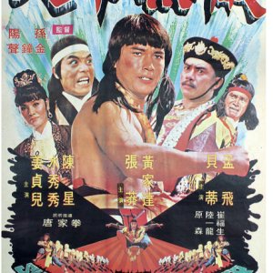 The Super Kung Fu Fighter (1978)