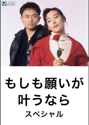 Moshimo Negai ga Kanau Nara (1994) poster