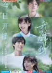 Professional Single chinese drama review