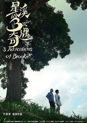 Three Adventures of Brooke (2018) poster