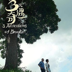 Three Adventures of Brooke (2018)