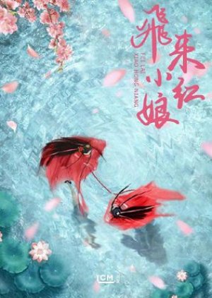 Fei Lai Xiao Hong Niang () poster