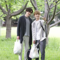 Senpai, This Can’t Be Love! Japanese Drama photo
