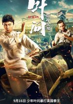 Ip Man: The Awakening Chinese Movie photo